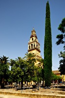 xb0093417