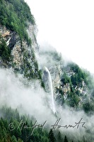 xb0137959