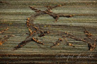 xb0190124